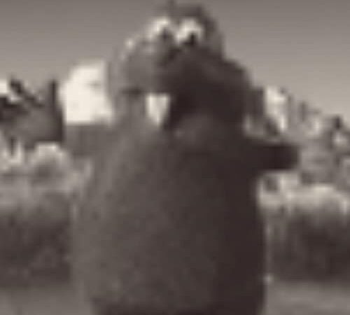 moley moley moley moley fat fat fat oculus quest 2 i think