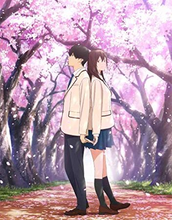 劇場アニメ「君の膵臓をたべたい」 [DVD]