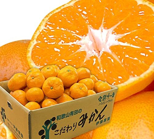 和歌山県 国産 みかん 早生みかん 5kg 訳あり 有田みかん 早生 中生 晩生 訳あり 伊藤農園 柑橘 人気 甘い 和歌山 果物 直販 家庭用 自宅用 こたつみかん 御歳暮 お歳暮