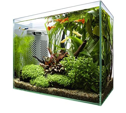 テトラ (Tetra) テトラ サイレントフレックスセット 30 ガラス 水槽 アクアリウム 熱帯魚 メダカ 金魚 その他 魚