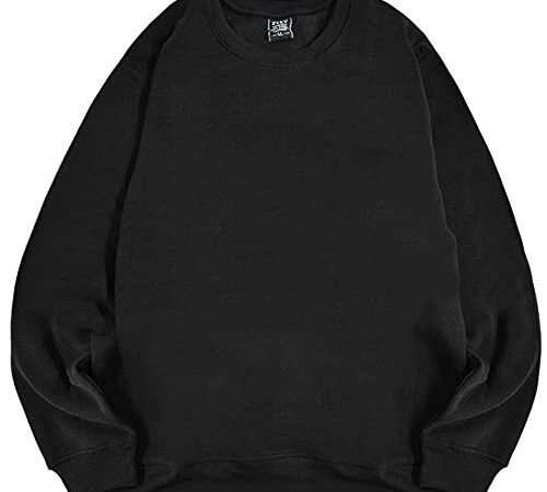 スウェット トレーナー メンズ レディース 起毛 無地 アメカジ M L LL