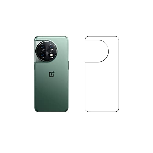 2024 年のベスト oneplus ベスト 30 [50 件の専門家レビューに基づく]